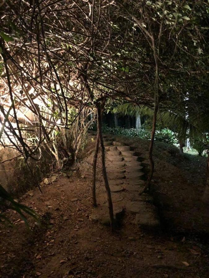 אומואה Plasencia Estate מראה חיצוני תמונה