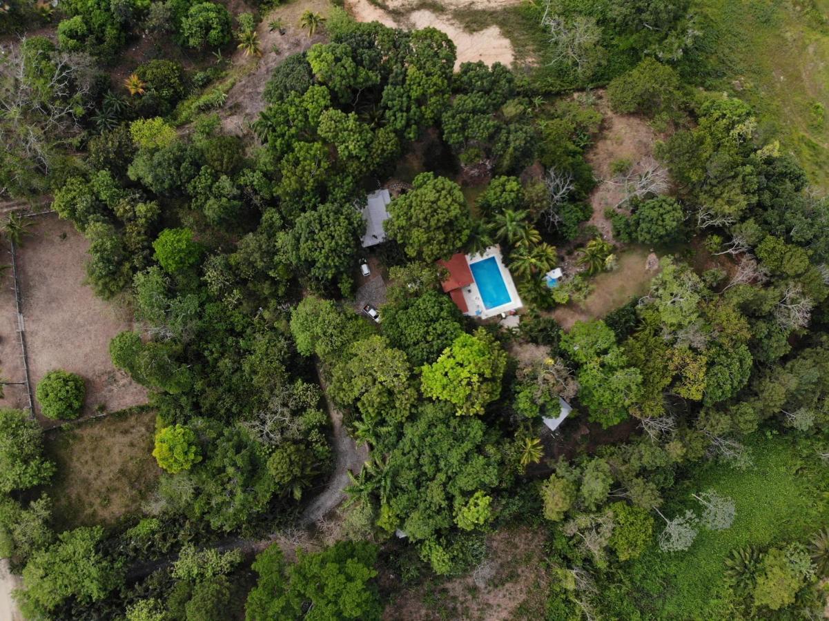 אומואה Plasencia Estate מראה חיצוני תמונה